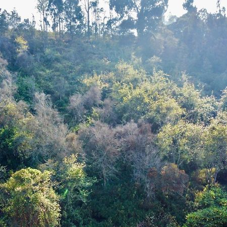 La Flora Kodaikanal Eksteriør bilde
